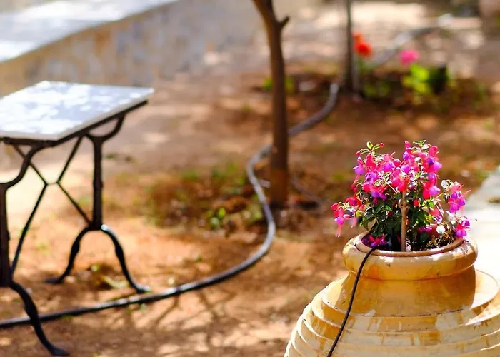 Olympia Zervea With Pool #2 Double