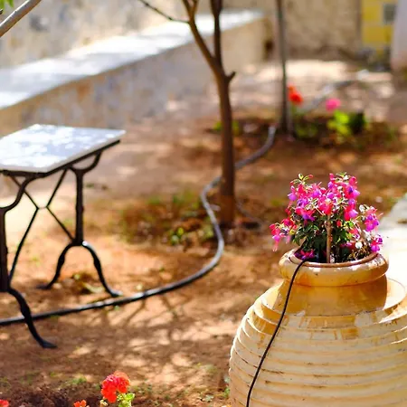 Olympia Zervea With Pool #2 Double