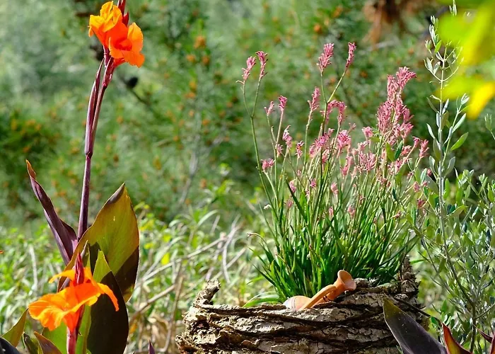 Lejlighed Olympia Zervea With Pool #2 Double Kardhamili